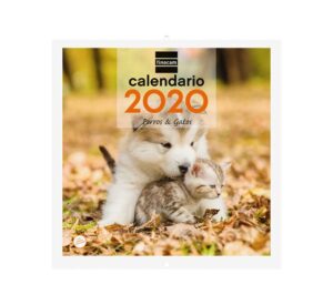 Portada CALENDARIO PARED PERROS Y GATOS -  -