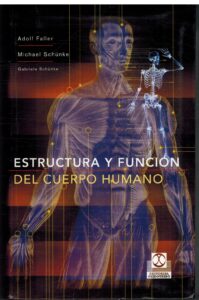 Portada ESTRUCTURA Y FUNCION DEL CUERPO HUMANO - ADOLF FALLER / MICHAEL SCHUNKE / GABRIELE SCHUNKE - PAIDOTRIBO