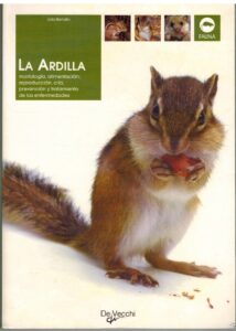 Portada LA ARDILLA - LIVIA BENATO - DE VECCHI