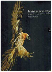 Portada LA MIRADA SALVAJE ENCUENTROS CON LA FAUNA IBERICA - ANDONI CANELA - BLUME