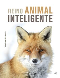 Portada -REINO ANIMAL INTELIGENTE - SANCHEZ VADILLO, MARIA - LIBSA