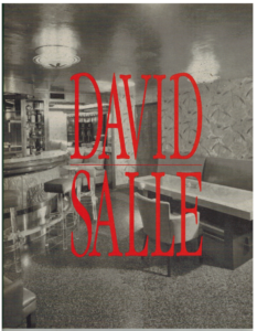 Portada DAVID SALLE - - -
