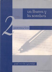 Portada LA LLAMA Y LA SOMBRA - JOSE VERON GORMAZ - VINCI PARK