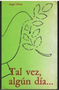 Portada TAL VEZ  ALGUN DIA. - ANGEL UBEDA - NOVELA