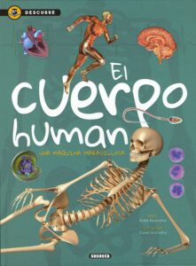 Portada EL CUERPO HUMANO - GISELA SOCOLOVSKY - SUSAETA
