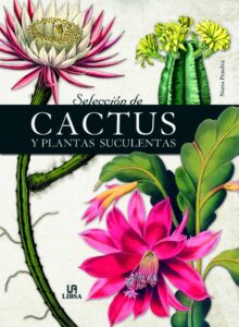 Portada SELECCIÓN DE CACTUS Y PLANTAS SUCULENTAS - PENALVA, NURIA / EQUIPO EDITORIAL -