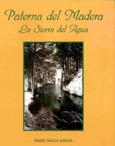Portada CÓMO CONDUCIR SU CABEZA. MANUAL DE PNL - ERNESTO TORO-LIRA - MANDALA EDICIONES